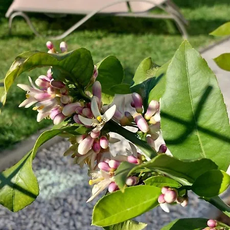 Apartment M&la Zadar